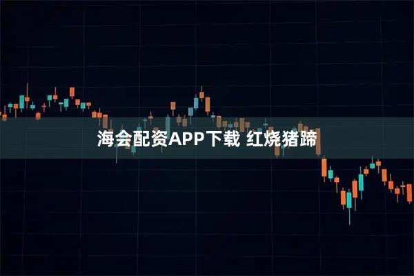 海会配资APP下载 红烧猪蹄