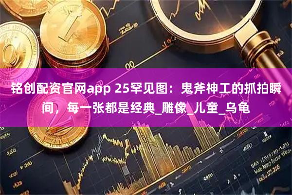 铭创配资官网app 25罕见图：鬼斧神工的抓拍瞬间，每一张都是经典_雕像_儿童_乌龟